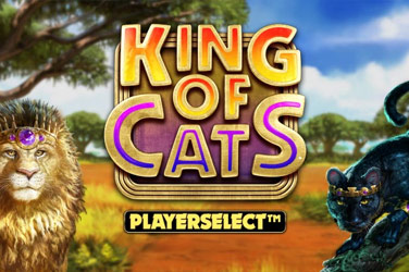 King of cats game image