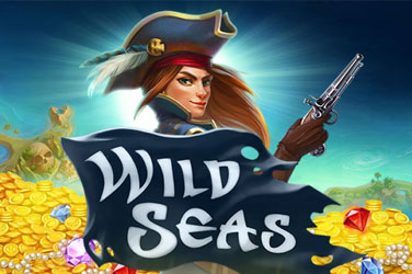 Wild seas game image