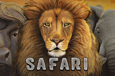 Safari game image