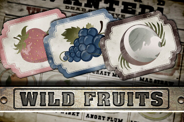 Wild fruits game image