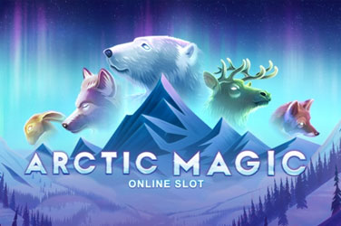 Arctic magic game image