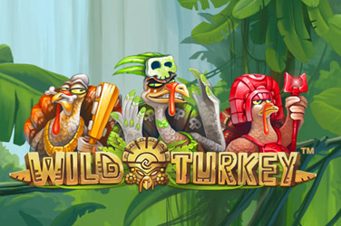 Wild turkey game image