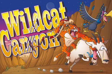 Wild cat canyon game image