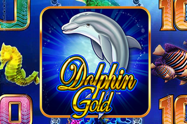 Dolphin gold game image