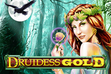 Druidess gold game image
