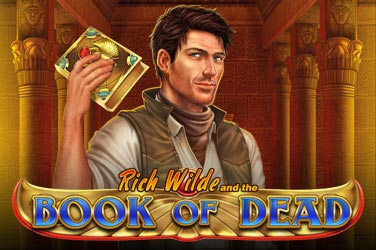 Book of dead game image