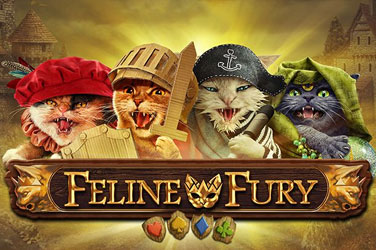 Feline fury game image