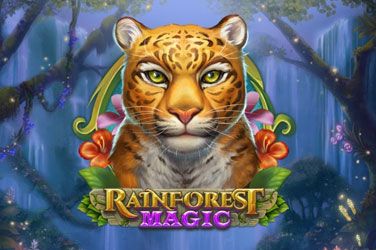 Rainforest magic game image