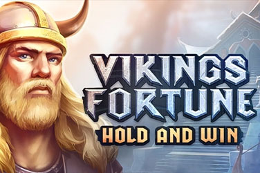 Vikings fortune: hold and win game image