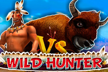 Wild hunter game image