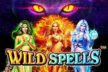 Wild spells game image