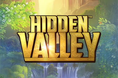 Hidden valley game image