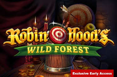 Robin hoods wild forest game image