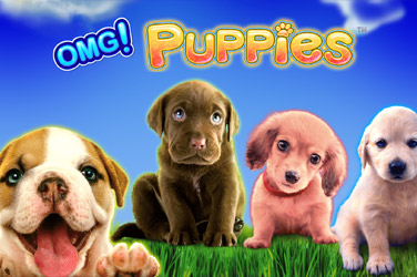 Omg puppies game image